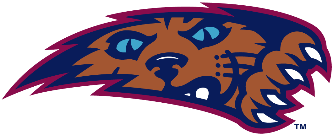 Villanova Wildcats 1996-2003 Alternate Logo v5 diy iron on heat transfer